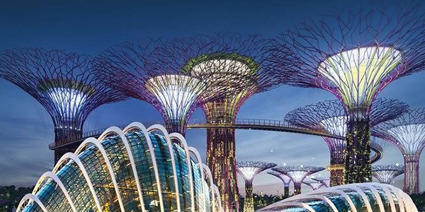 Marvel at Singapore’s natural flora in this man-made Garden
